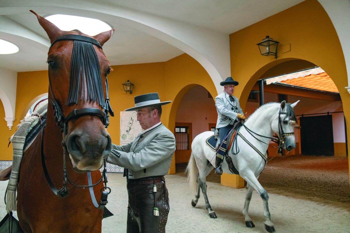 Real Escuela Andaluza del Arte Ecuestre, en Cádiz